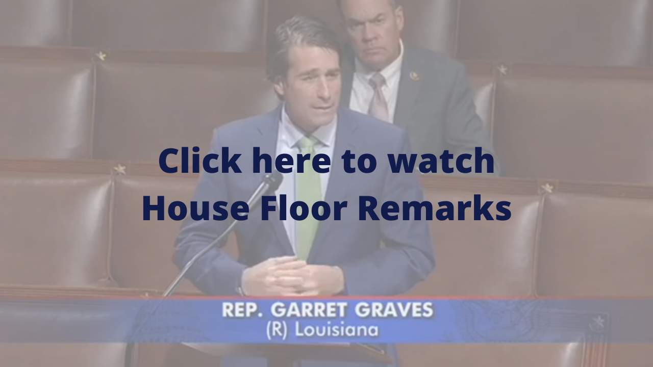 Click here to watch House Floor Remarks